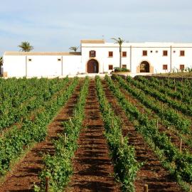 Agriturismo Baglio Donnafranca Wine Resort, hotel v mestu Marsala