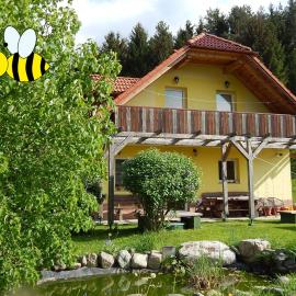 Sunny Holiday House B&B, hotel em Ljubno