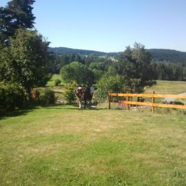 Ressourcez vous en pleine nature!