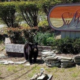Gatlinburg Mountain Condo, hotel in Gatlinburg