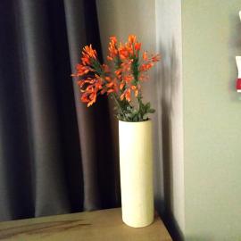 Parnassiko Guest House
