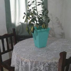 La casita del parque