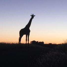 Windhoek Rural Self Catering, Hotel in Voigtland