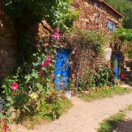 Cottage Vivenda Festina Lente, hotel in Figueiró dos Vinhos