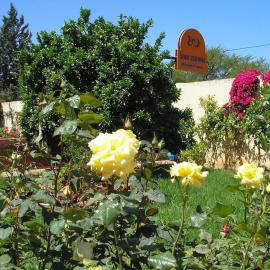 Riad Dar Zidane, hotel in Meknès