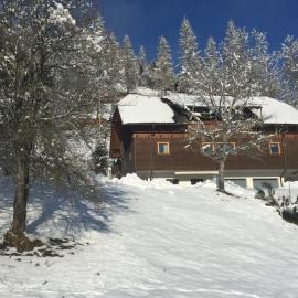 Appartement VIDMAR-WINTERTRAUM