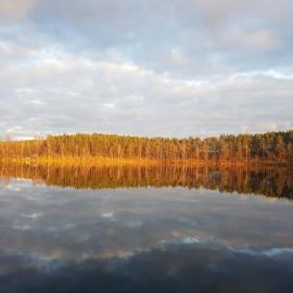 Agro Breza domek nad samym jeziorem- sauna ogrodowa