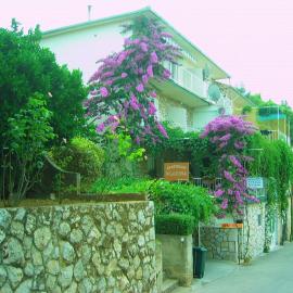 Villa Volga, hotel i Jelsa