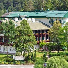 Hotel Schneeberghof, хотел в Пухберг ам Шнееберг
