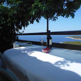 Seaview Apartment Marinov - Bilo, Primošten
