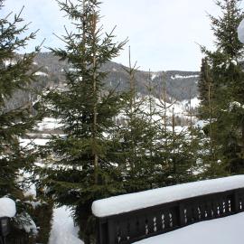 Chalet Heidi BKK, hotel in Bad Kleinkirchheim