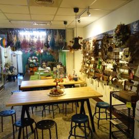 Kite Hostel