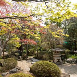 丹徳庭園