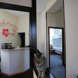 Sakura Inn, hotel u gradu Fergana