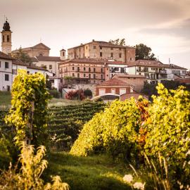 Villa Vinory - Tenuta il Sogno