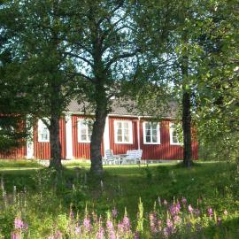 Å-hemmet i Dikanäs, hotel in Dikanäs