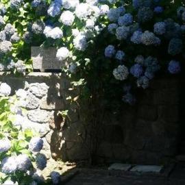 La Villetta In Montagna, hotel a Vivo dʼOrcia