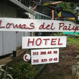 Hotel Lomas del Paiyü, Hotel in Puerto Nariño