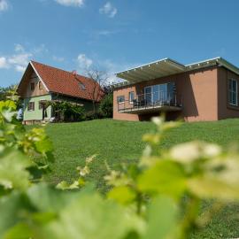 Ferienhäuser im Weingarten, hotel u gradu 'Fehring'