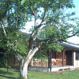 Pod Orzechem, hotel en Sanok