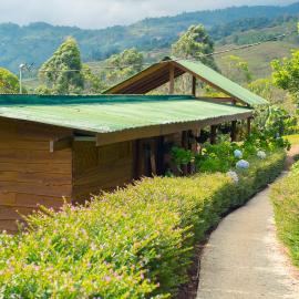 Ecolodge Rain: Pedregoso'da bir otel