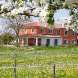 Weinhof am Nussbaum, hotel u gradu Willanzheim