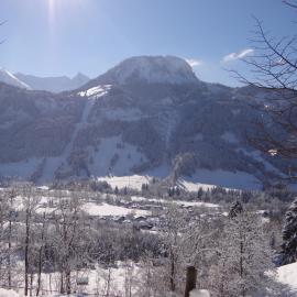 Der Malerwinkl - Alpenhotel