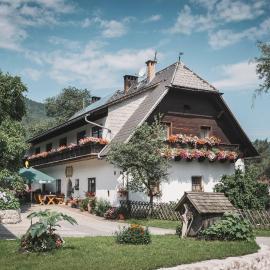 Urlaub am Bauernhof Feldbauer, Hotel in Landl