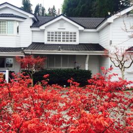 He Feng Homestay, hotel a Hualing