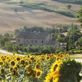 "La Casa degli ulivi Art B&B", hotel Ripében