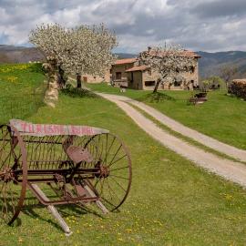 Can Galló