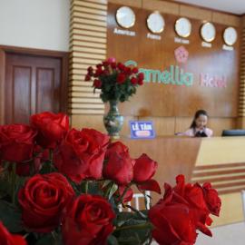 Camellia Hotel, hotel di Thanh Hóa