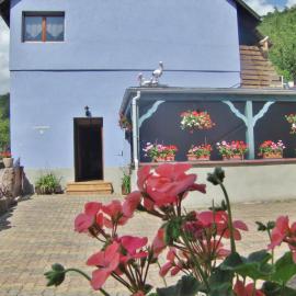 Au nid de la foret, hotel i Boersch