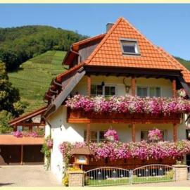 Haus Sonja, hotel u gradu Glotertal