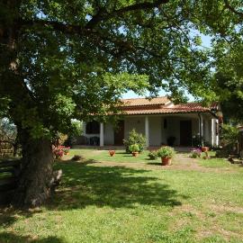 Agriturismo San Vincenzo, hotel v destinácii Sovana
