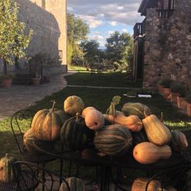 Azienda Agricola Il Querceto, hotel in Marsico Vetere
