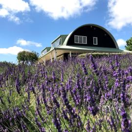 Lavender Hill, hotel a Riverhead