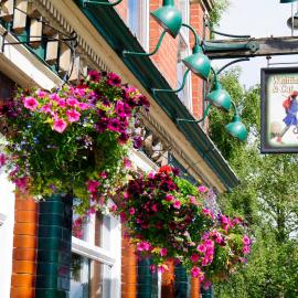 The Whittington and Cat, hotel in Hull