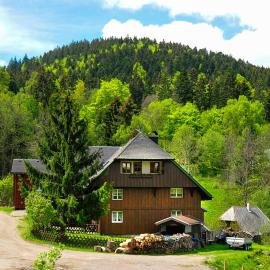 Ferienhaus Hinterzarten: Hinterzarten şehrinde bir otel