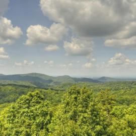 Endless View