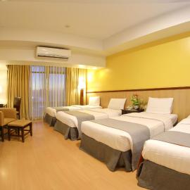 The Malayan Plaza Hotel