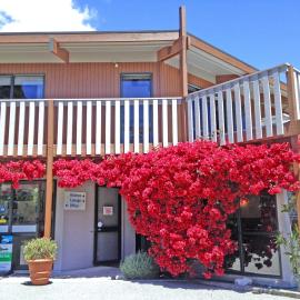 Picton Campervan Park, hotel in Picton
