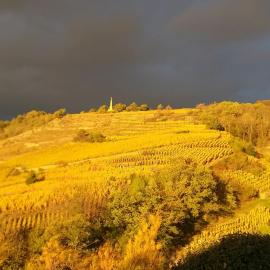 Wine Passion Panoramic, hotell sihtkohas Chavanay