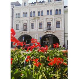 Hotel Zlatý Anděl โรงแรมในชาเตซ