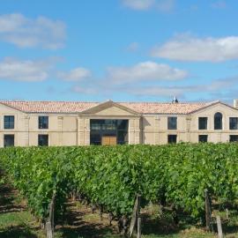 Château Tour Saint-Fort Chambre d'hôtes, hotel Saint-Estèphe-ben