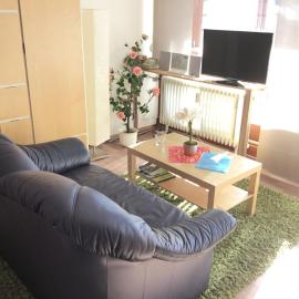 1Z. FeWo 231 barbo Schwimmbad-Sauna-Fitness, hotel in Schönwald