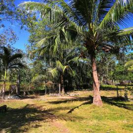 Walkerz Inn, hotel em Panglao City