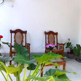 T & U Homestay