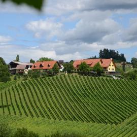 Weingut Fellner