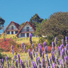 Chalés da Cuesta, hotel en Pardinho